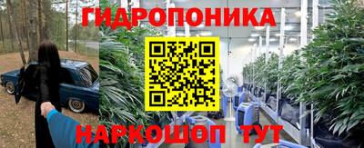 PSILOCYBIN Жуковский