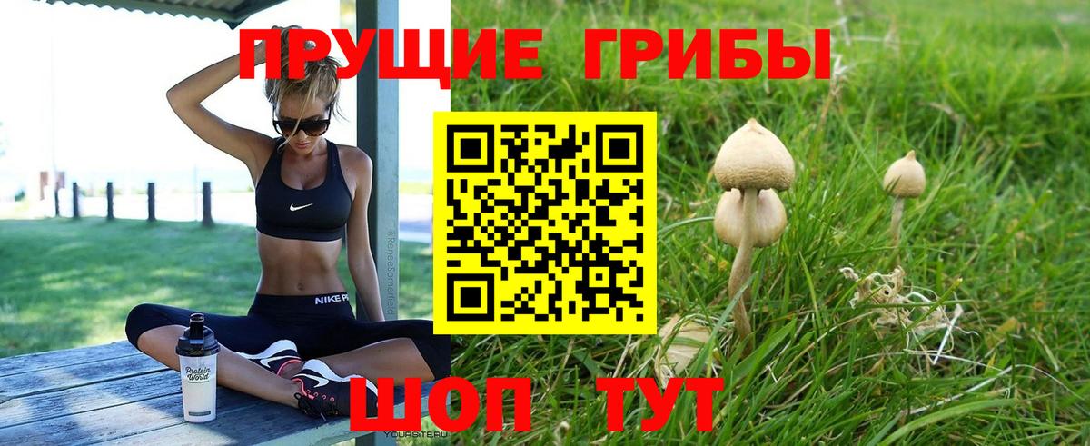купить закладку  Псилоцибиновые грибы Magic Shrooms  Вход с VPN  Майский 