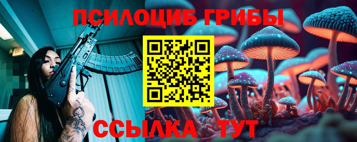 Псилоцибиновые грибы мицелий Майский